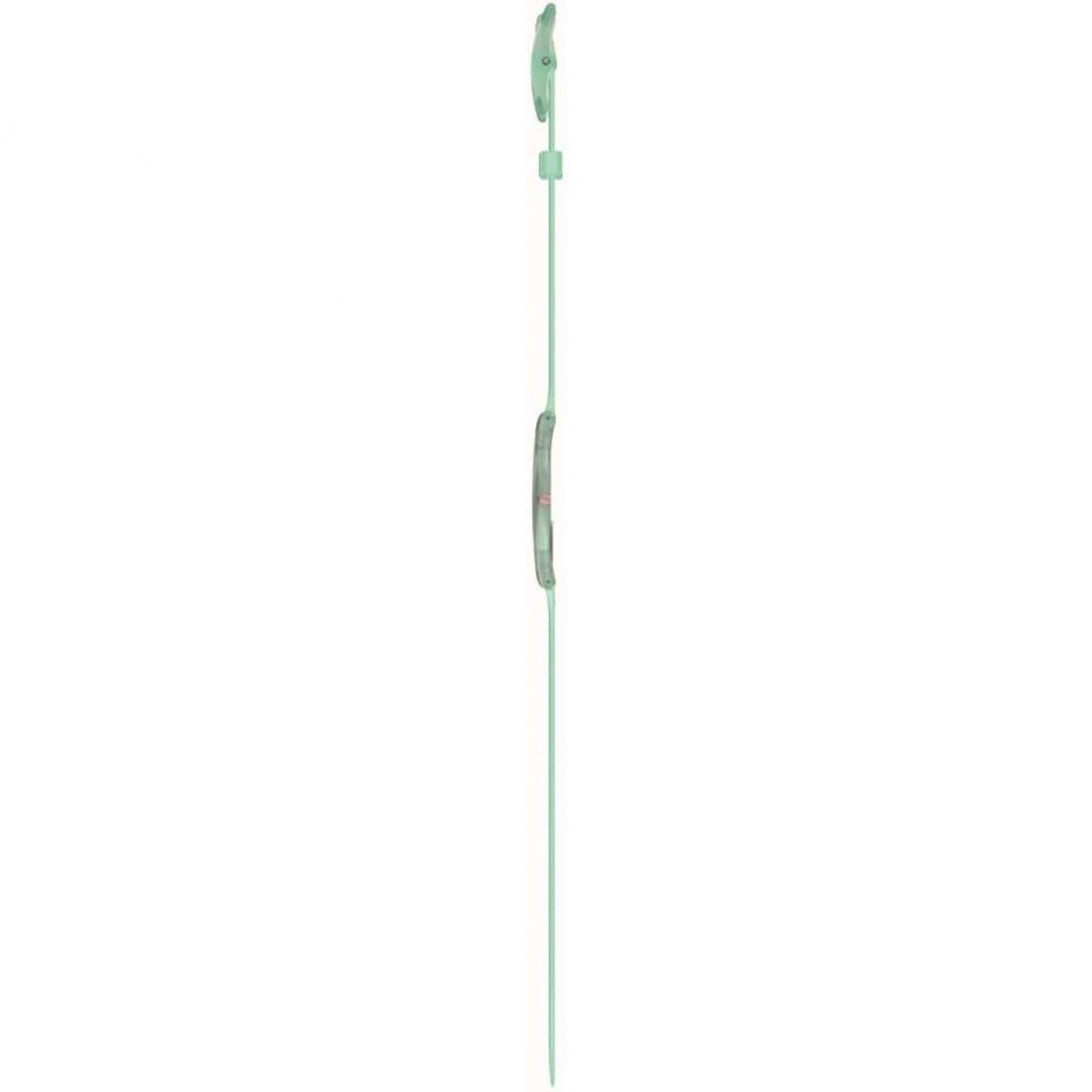 Swatch PASTELICIOUS TEAL Grüne Zifferblatt Uhr SS08L100