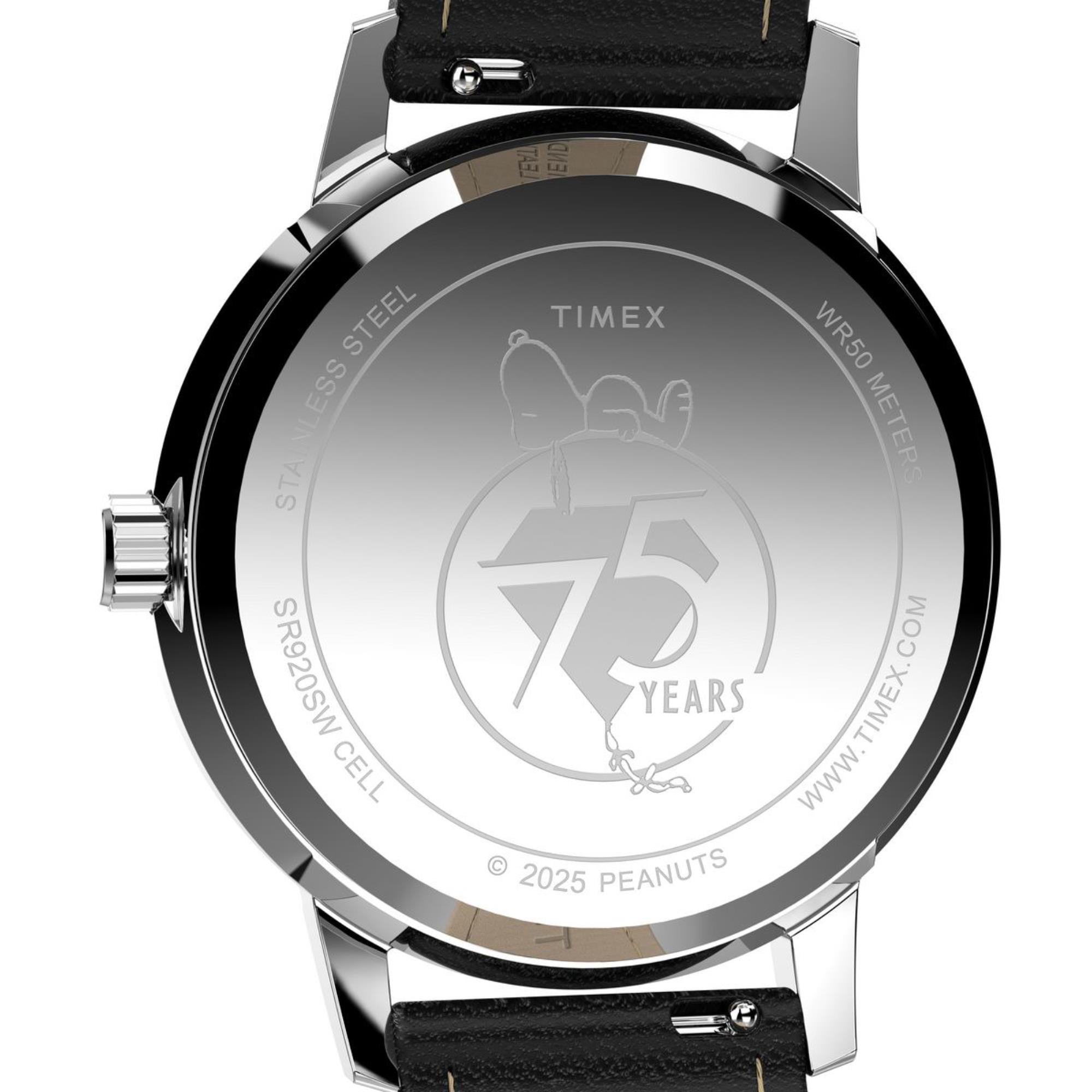 Timex TW2Y19900
