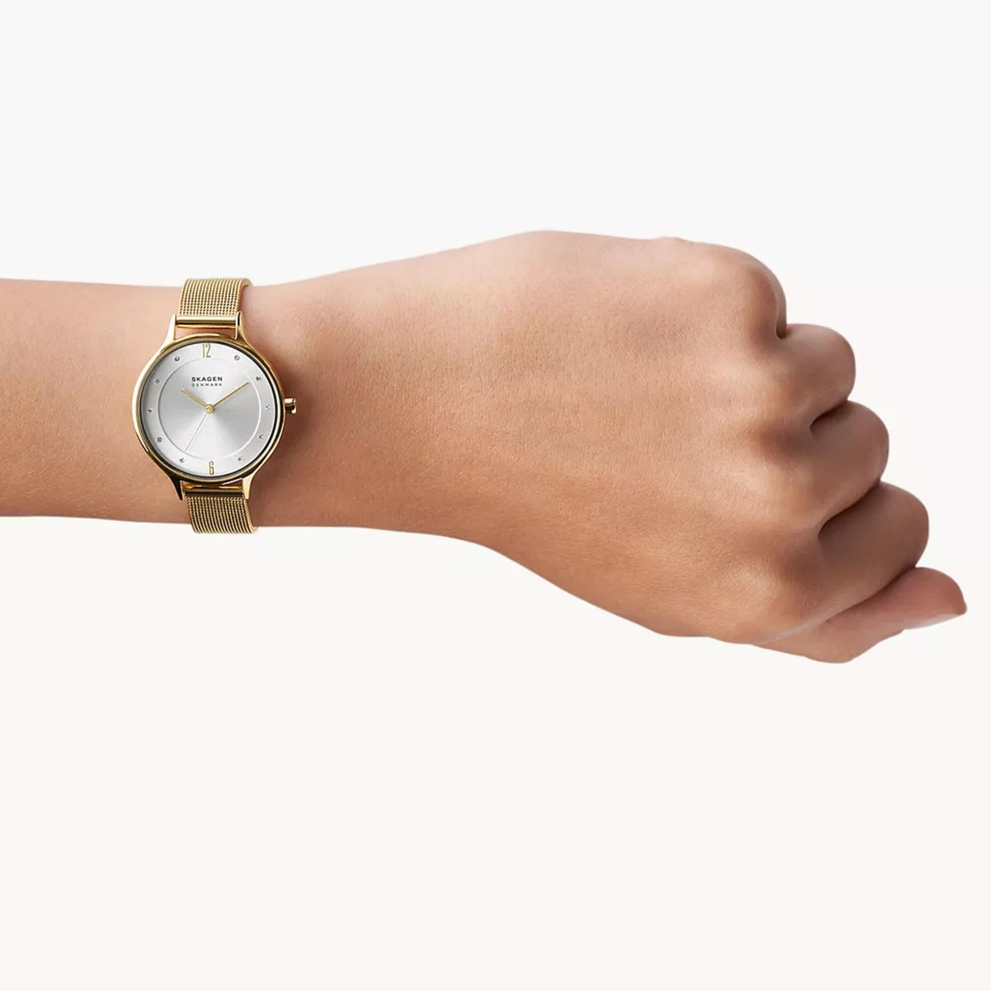 Skagen Anita Lille 30mm Silver Dial Steel Ladies Quartz Watch SKW2150