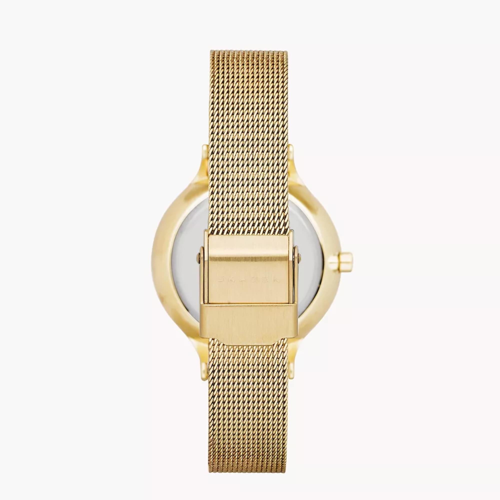 Skagen Anita Lille 30mm Silver Dial Steel Ladies Quartz Watch SKW2150