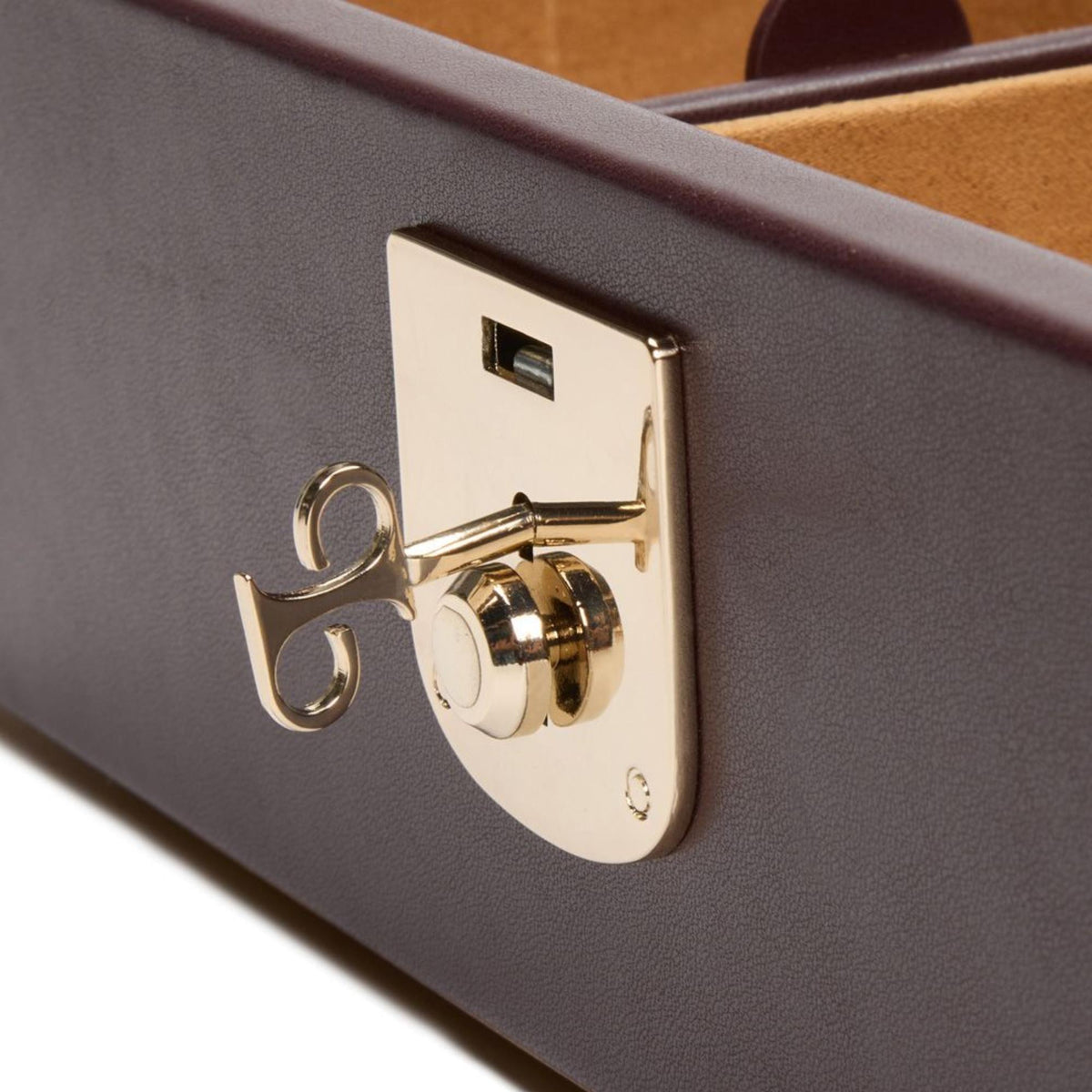 WOLF Philipp 190206 close-up shot of key inserted into metallic gold front lock hardware