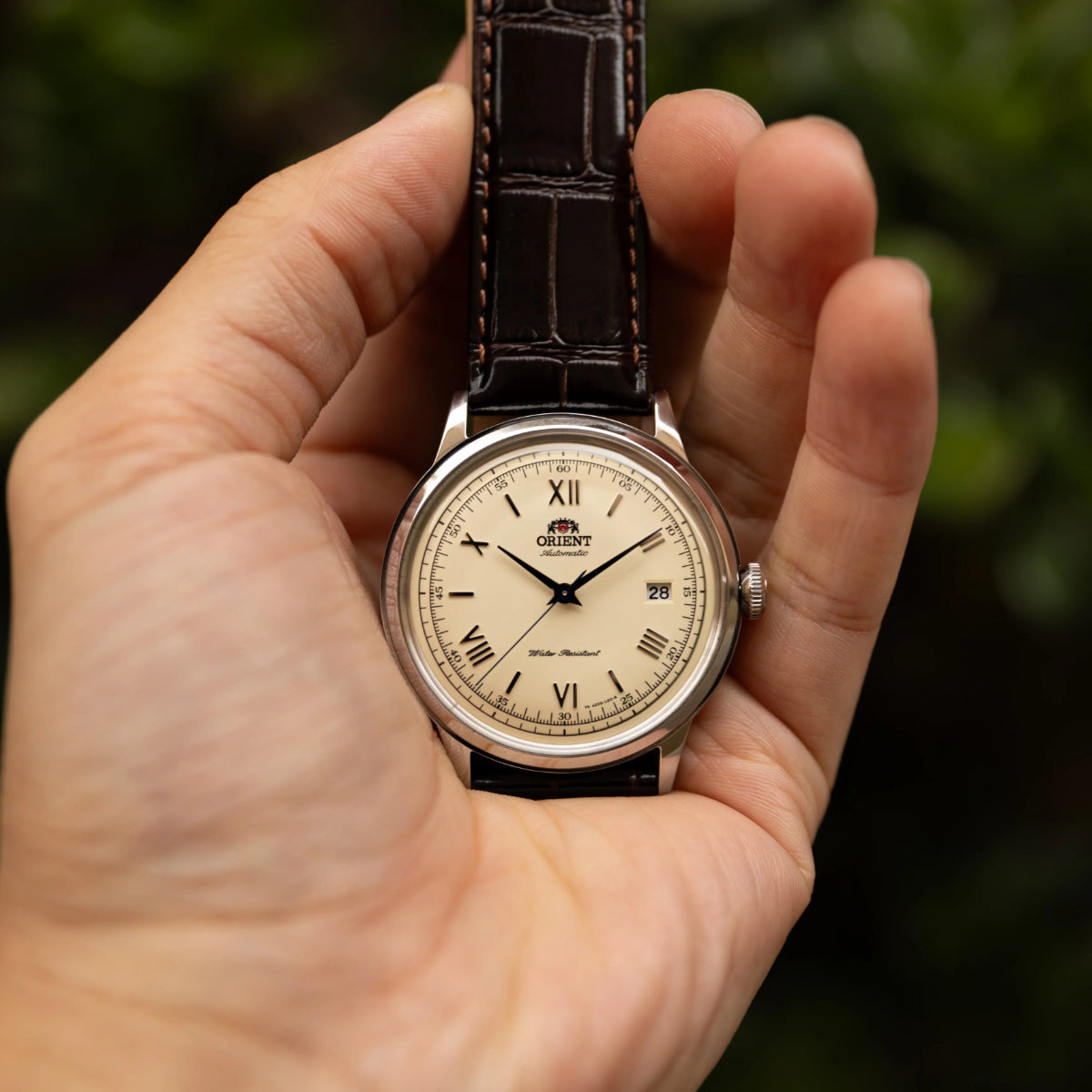 Orient Bambino 40.5mm Champagne Dial Leather Mens Automatic Watch TAC00009N0