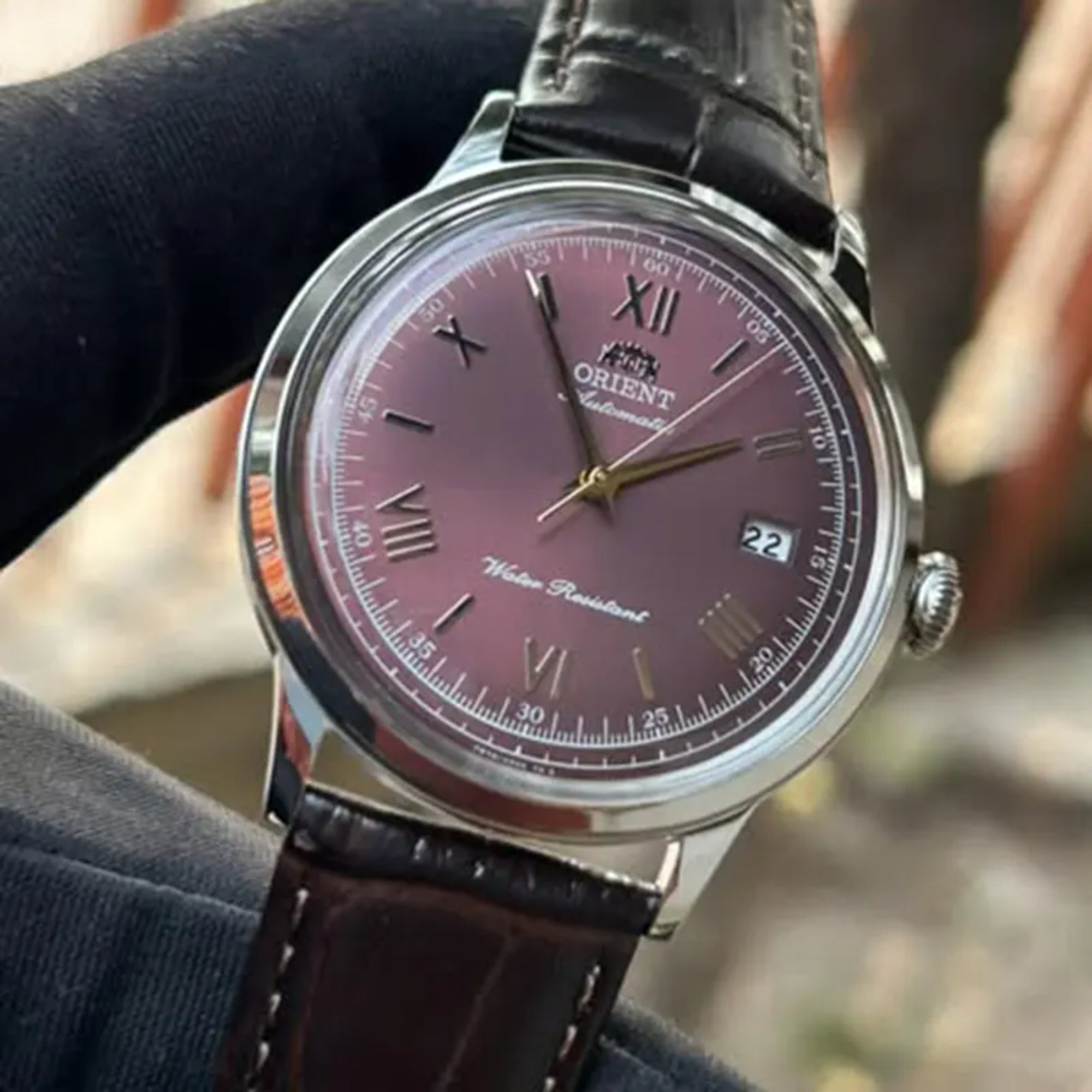 Orient Bambino RA-AC0026R30B Bordeaux dial with Roman numerals close-up