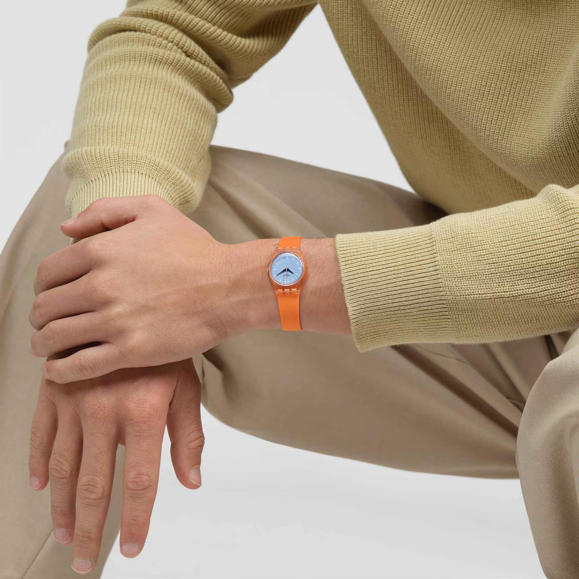 Swatch View From A Mesa Blue Dial Watch LO116