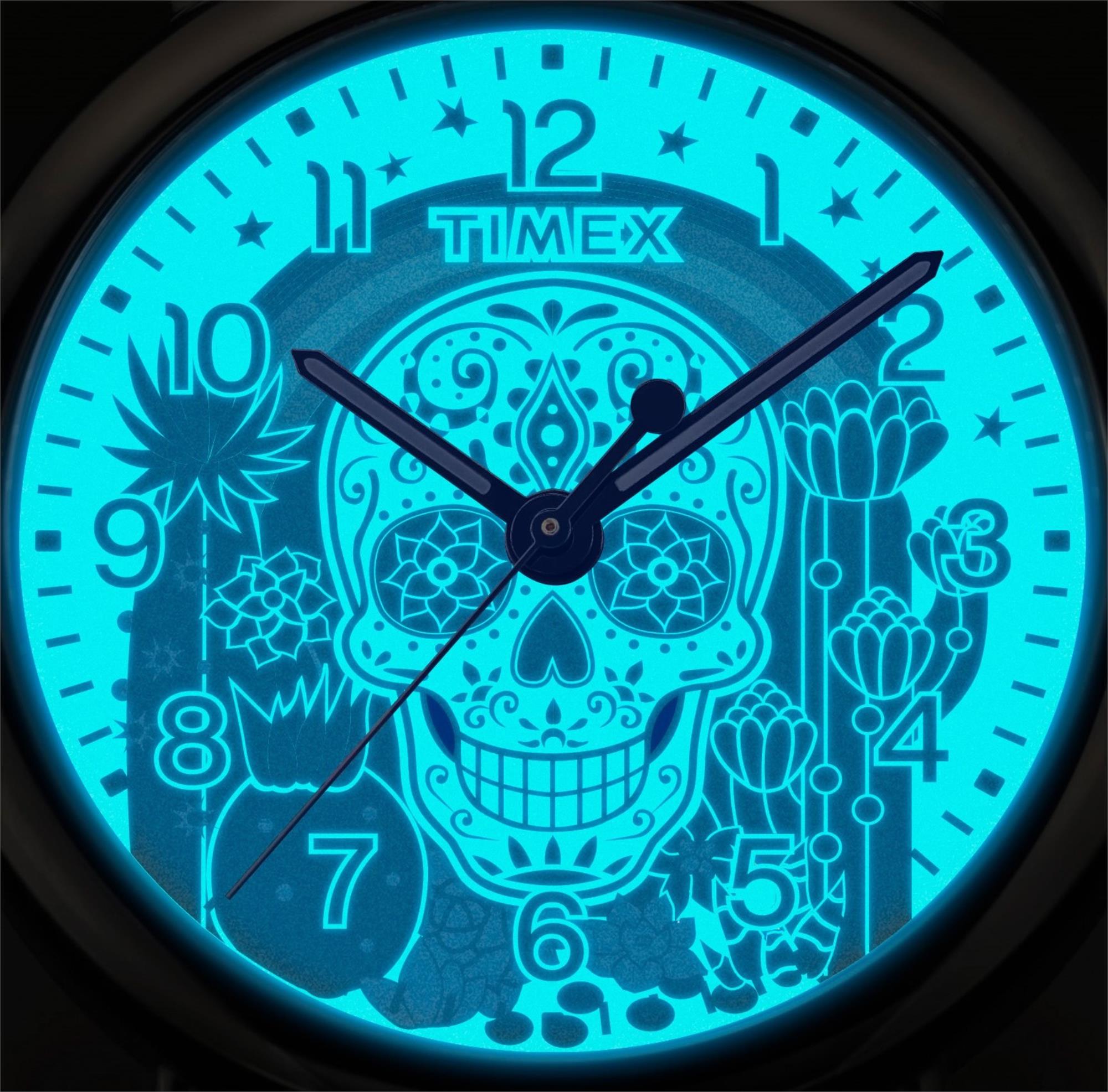 Timex Weekender Day of the Dead Quartz Men's Watch TW2Y15900