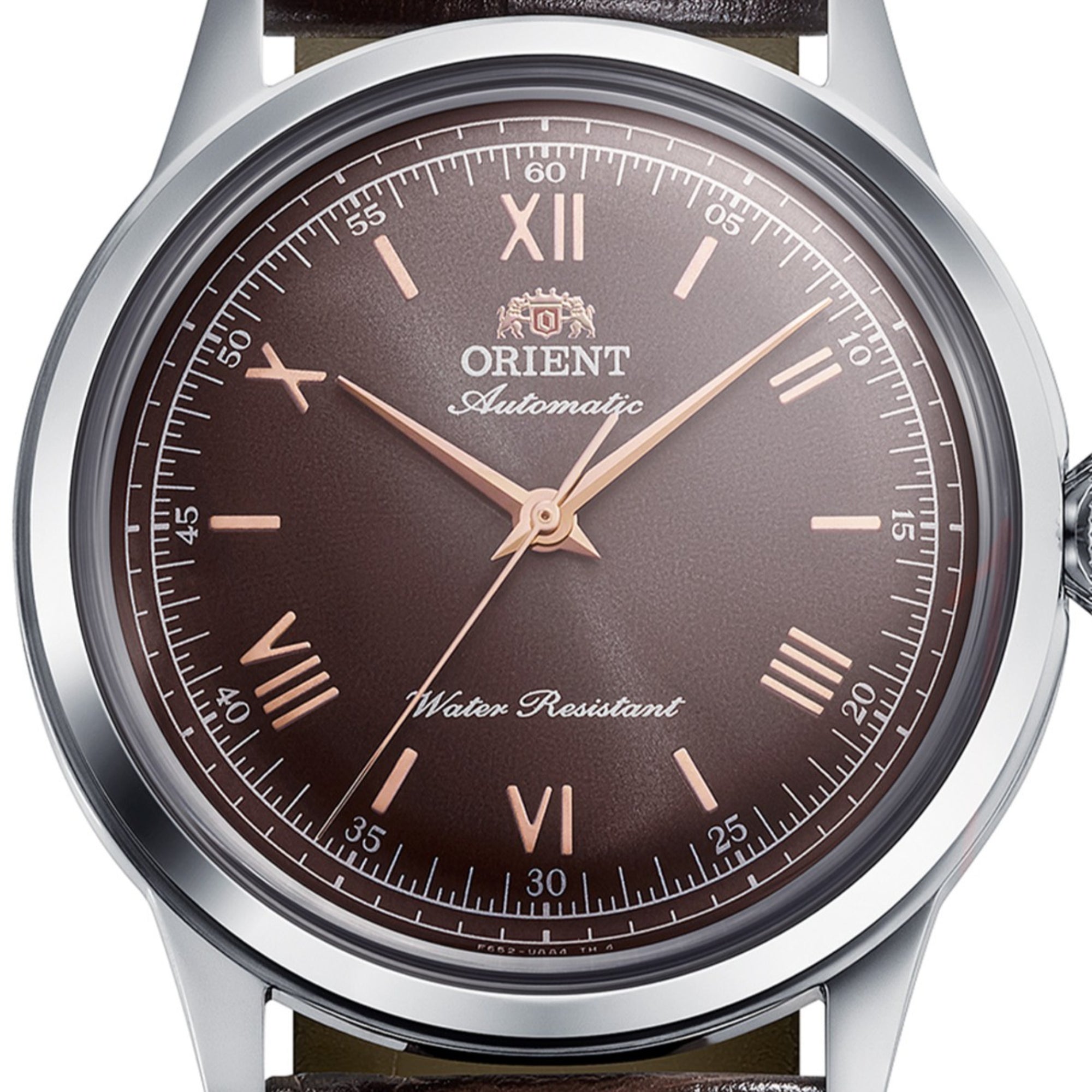 Orient Bambino RA-BB0004Y30B brown dial display close-up